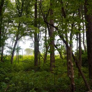 Photo #23 of Sweden Fork Creek Lane, Chatham, VA 201.0 acres