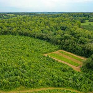 Photo #26 of Sweden Fork Creek Lane, Chatham, VA 201.0 acres