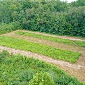 Photo #27 of Sweden Fork Creek Lane, Chatham, VA 201.0 acres