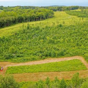 Photo #28 of Sweden Fork Creek Lane, Chatham, VA 201.0 acres