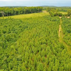 Photo #29 of Sweden Fork Creek Lane, Chatham, VA 201.0 acres