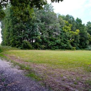 Photo #3 of Sweden Fork Creek Lane, Chatham, VA 201.0 acres