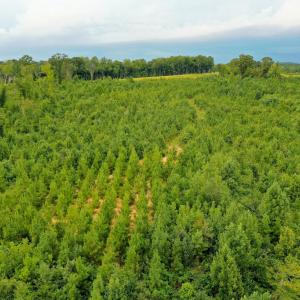 Photo #31 of Sweden Fork Creek Lane, Chatham, VA 201.0 acres