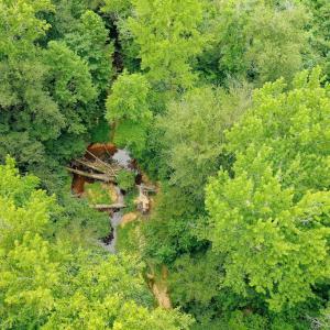 Photo #32 of Sweden Fork Creek Lane, Chatham, VA 201.0 acres