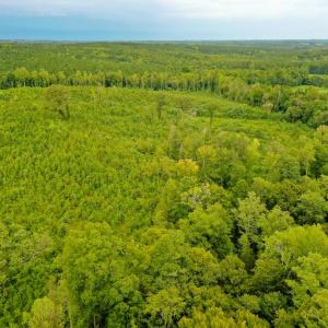 Photo #33 of Sweden Fork Creek Lane, Chatham, VA 201.0 acres