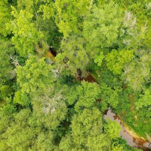 Photo #34 of Sweden Fork Creek Lane, Chatham, VA 201.0 acres