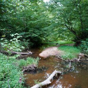 Photo #35 of Sweden Fork Creek Lane, Chatham, VA 201.0 acres