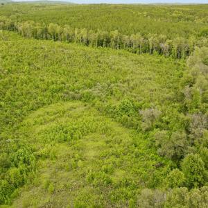Photo #36 of Sweden Fork Creek Lane, Chatham, VA 201.0 acres