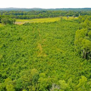 Photo #37 of Sweden Fork Creek Lane, Chatham, VA 201.0 acres
