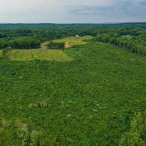 Photo #38 of Sweden Fork Creek Lane, Chatham, VA 201.0 acres