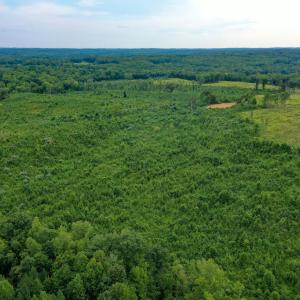 Photo #39 of Sweden Fork Creek Lane, Chatham, VA 201.0 acres