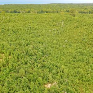 Photo #40 of Sweden Fork Creek Lane, Chatham, VA 201.0 acres
