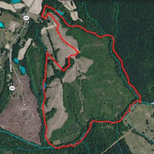 Photo #44 of Sweden Fork Creek Lane, Chatham, VA 201.0 acres