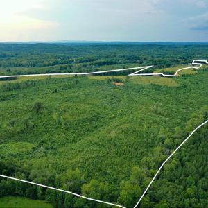 Photo #48 of Sweden Fork Creek Lane, Chatham, VA 201.0 acres