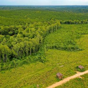 Photo #5 of Sweden Fork Creek Lane, Chatham, VA 201.0 acres