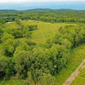 Photo #6 of Sweden Fork Creek Lane, Chatham, VA 201.0 acres