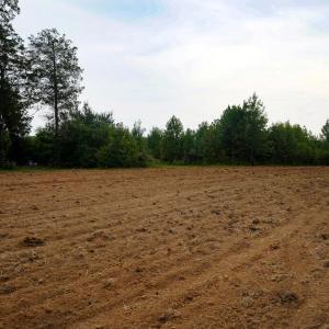 Photo #9 of Sweden Fork Creek Lane, Chatham, VA 201.0 acres