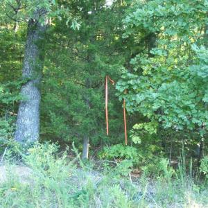 Division line between the 2 Acre lot and the 8 Acre lot.