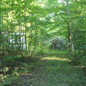View of property