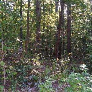 View of property