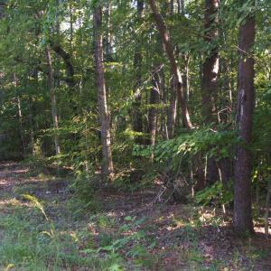 View of property