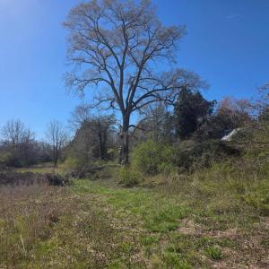 Photo #12 of Aspen Wall Rd, Brookneal, VA 115.3 acres