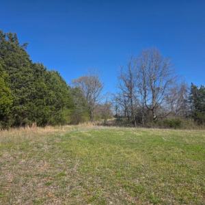 Photo #14 of Aspen Wall Rd, Brookneal, VA 115.3 acres