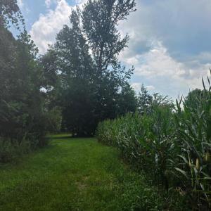 Photo #2 of Aspen Wall Rd, Brookneal, VA 115.3 acres