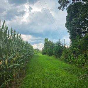 Photo #3 of Aspen Wall Rd, Brookneal, VA 115.3 acres