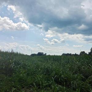 Photo #5 of Aspen Wall Rd, Brookneal, VA 115.3 acres