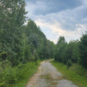 Photo #6 of Aspen Wall Rd, Brookneal, VA 115.3 acres