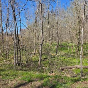 Photo #7 of Aspen Wall Rd, Brookneal, VA 115.3 acres