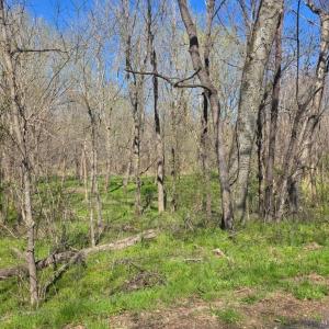 Photo #8 of Aspen Wall Rd, Brookneal, VA 115.3 acres
