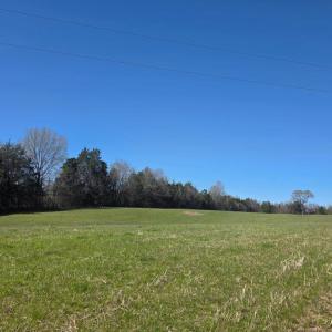 Photo #9 of Aspen Wall Rd, Brookneal, VA 115.3 acres