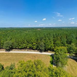 Photo #10 of Davis Lowground Road, Keysville, VA 10.3 acres