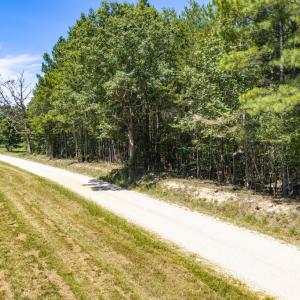 Photo #11 of Davis Lowground Road, Keysville, VA 10.3 acres