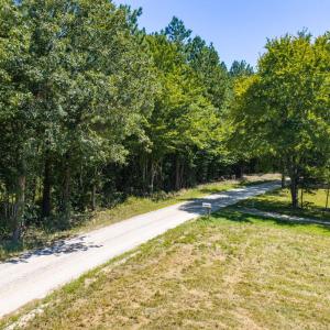 Photo #12 of Davis Lowground Road, Keysville, VA 10.3 acres