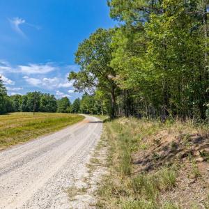Photo #13 of Davis Lowground Road, Keysville, VA 10.3 acres