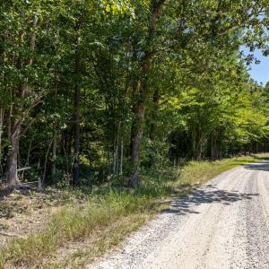 Photo #14 of Davis Lowground Road, Keysville, VA 10.3 acres