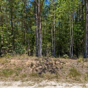 Photo #15 of Davis Lowground Road, Keysville, VA 10.3 acres