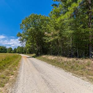 Photo #16 of Davis Lowground Road, Keysville, VA 10.3 acres