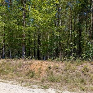 Photo #17 of Davis Lowground Road, Keysville, VA 10.3 acres