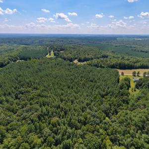 Photo #7 of Davis Lowground Road, Keysville, VA 10.3 acres