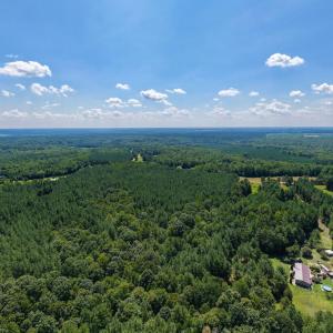 Photo #8 of Davis Lowground Road, Keysville, VA 10.3 acres
