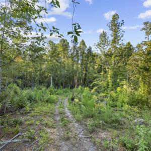Photo #12 of Gully Tavern Rd, Rice, VA 9.0 acres
