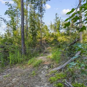 Photo #13 of Gully Tavern Rd, Rice, VA 9.0 acres