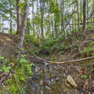 Photo #14 of Gully Tavern Rd, Rice, VA 9.0 acres