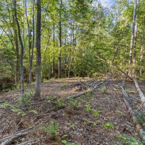 Photo #15 of Gully Tavern Rd, Rice, VA 9.0 acres