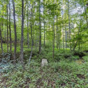 Photo #16 of Gully Tavern Rd, Rice, VA 9.0 acres
