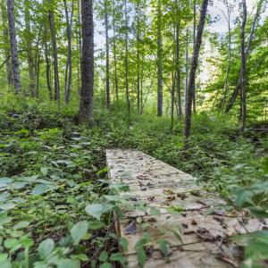 Photo #17 of Gully Tavern Rd, Rice, VA 9.0 acres